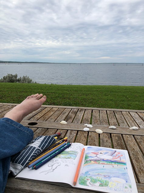 Drawing in my travel journal in several different locations across the Eyre Peninsula.