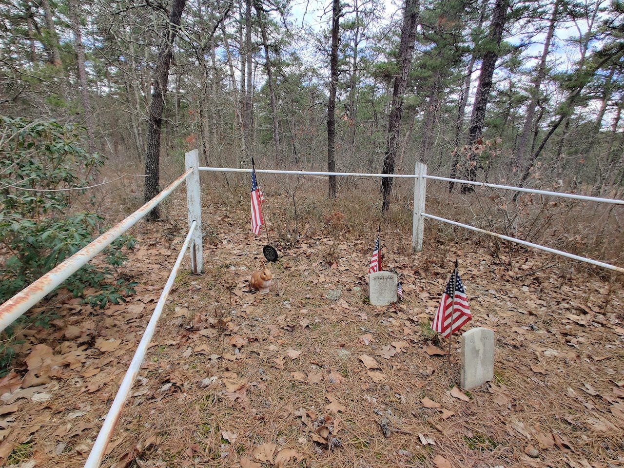 Two tiny white headstones in leaf litter, surrounded by pines