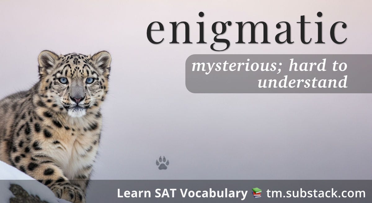 A photorealistic snow leopard cub with striking pale blue eyes gazes directly at the viewer. The cub's face is visible on the left side of the image, with its spotted fur pattern clearly defined. A single paw print appears in the misty gray background below. The word "enigmatic" appears in black serif font at the top right, with "mysterious; hard to understand" in white italic text on a gray banner below; used to illustrate the SAT word 'enigmatic'.