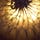 Awakened Consciousness