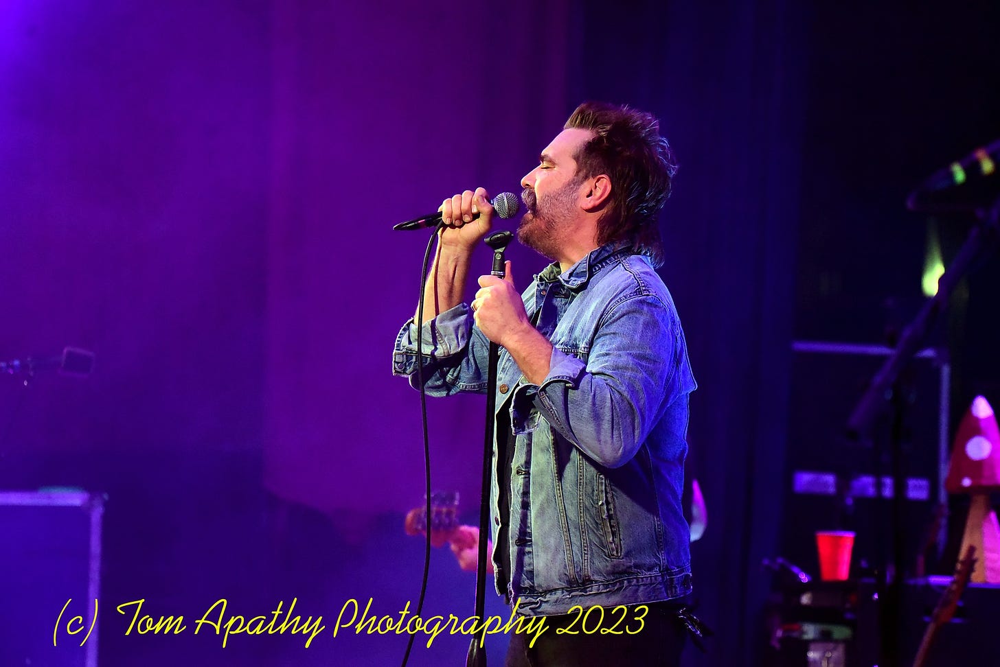 Scott Terry of Red Wanting Blue
