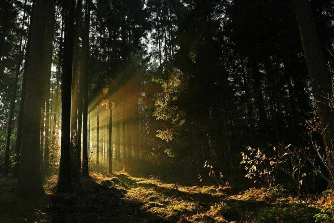 Luce naturale per video
