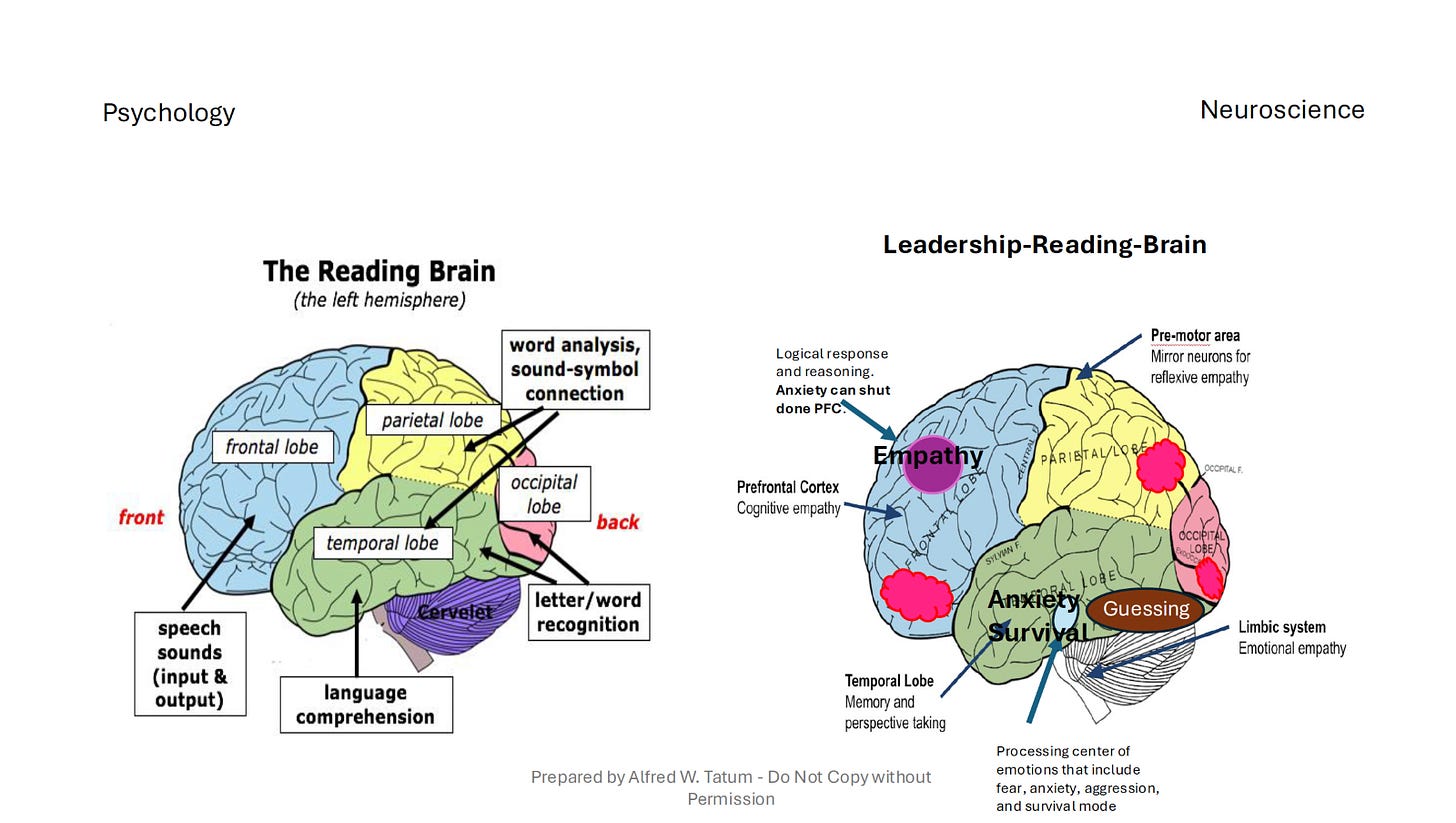 Visual illustration of the reading brain and the leadership-reading brain