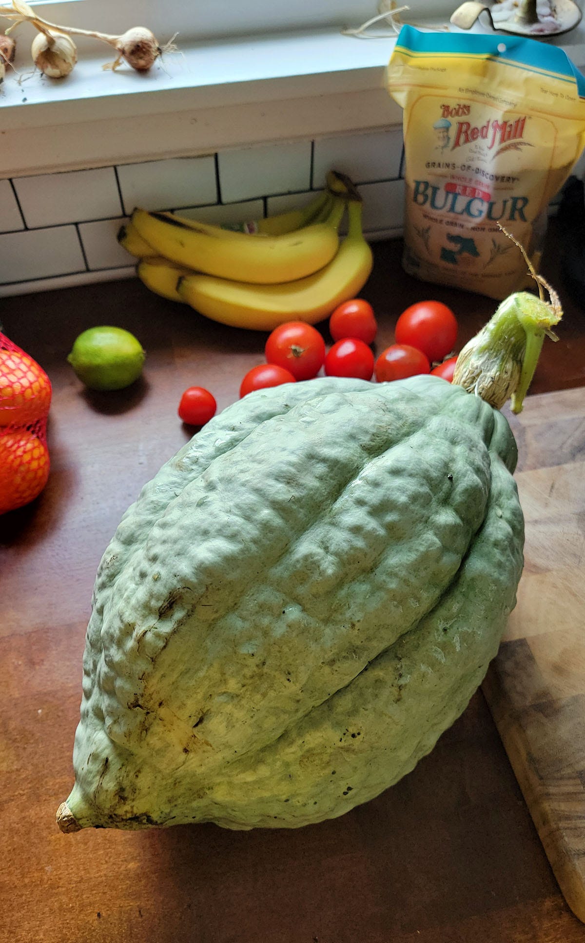 My volunteer hubbard squash. 