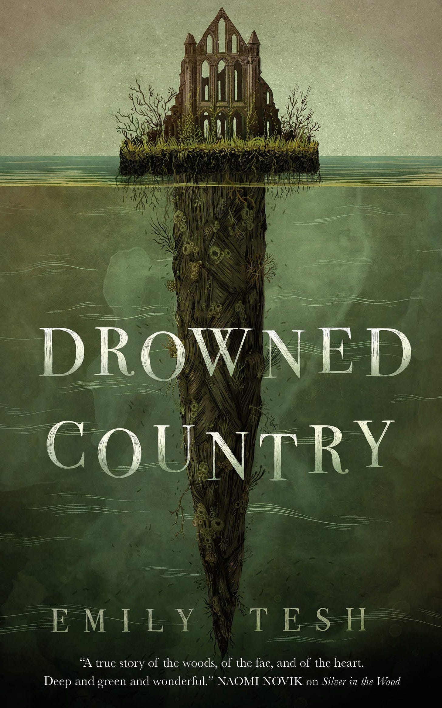 Drowned Country [Book]