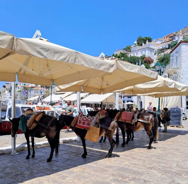 Mules line up to transport luggage and packages in Hydra harbor