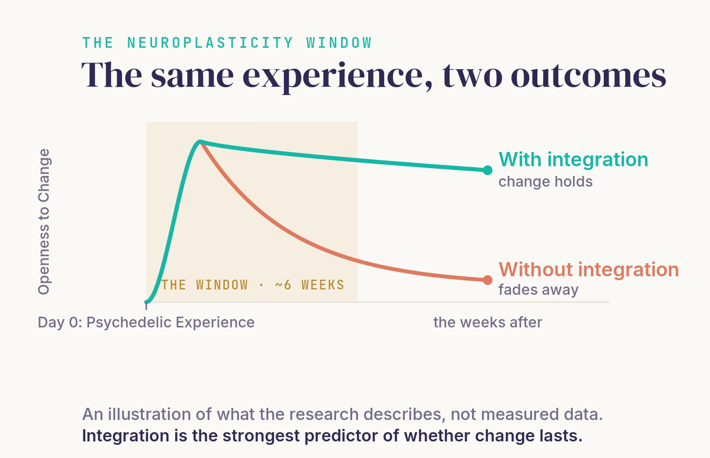Line chart, "The same experience, two outcomes," plotting openness to change over the weeks after a psychedelic experience. Both lines rise sharply at Day 0, then diverge: the teal "with integration" line stays high while the coral "without it" line fades back towards baseline. A shaded band marks the roughly six-week window. The point: integration is the strongest predictor of whether change lasts.