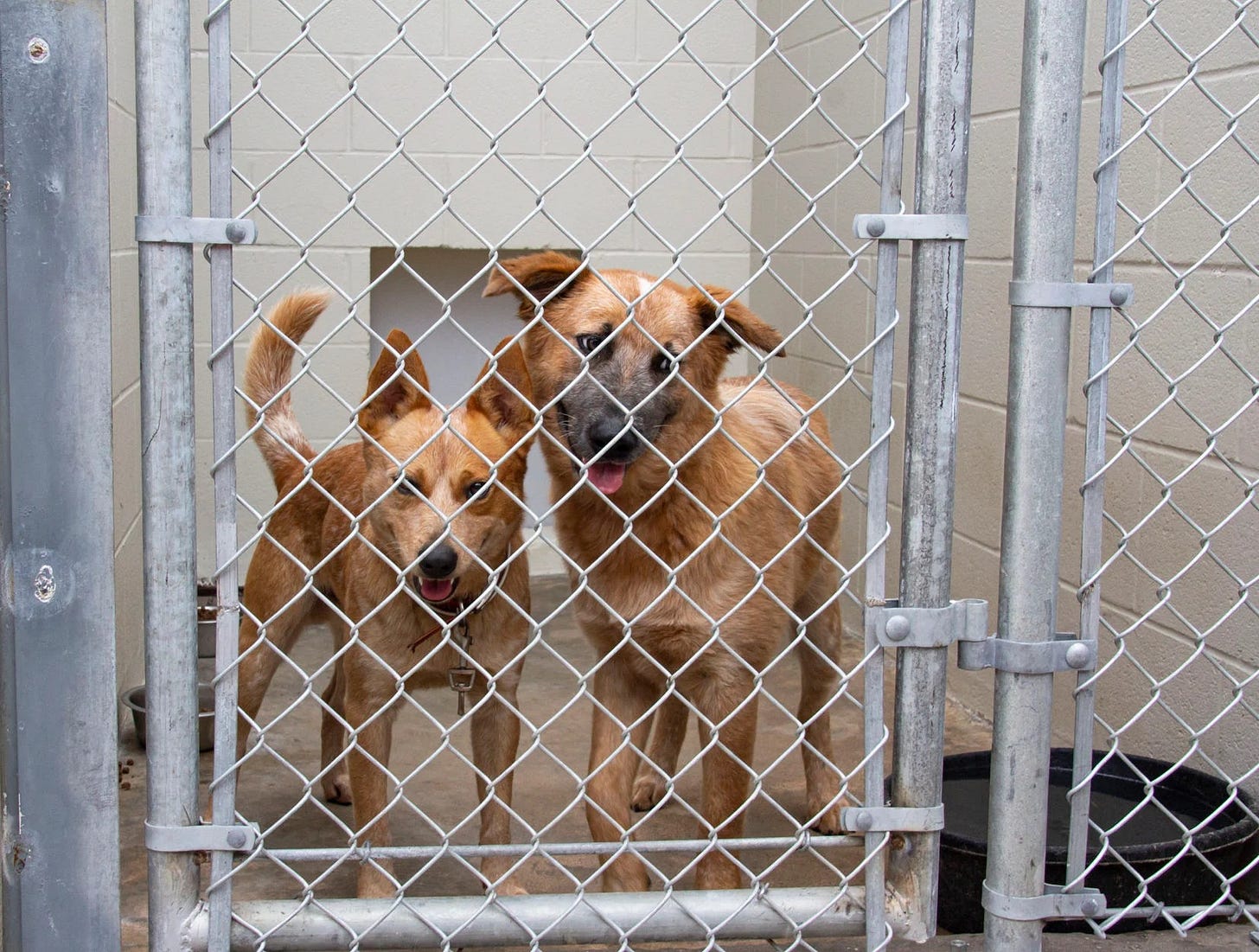 No photo description available. No photo description available.