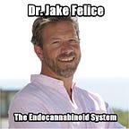 Sound Bites with Dr. Adam Rinde