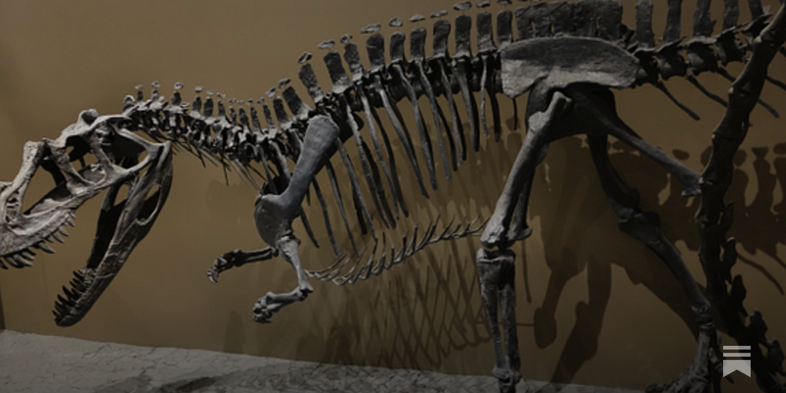 Numlock Sunday: Steve Brusatte on dinosaurs auctions and