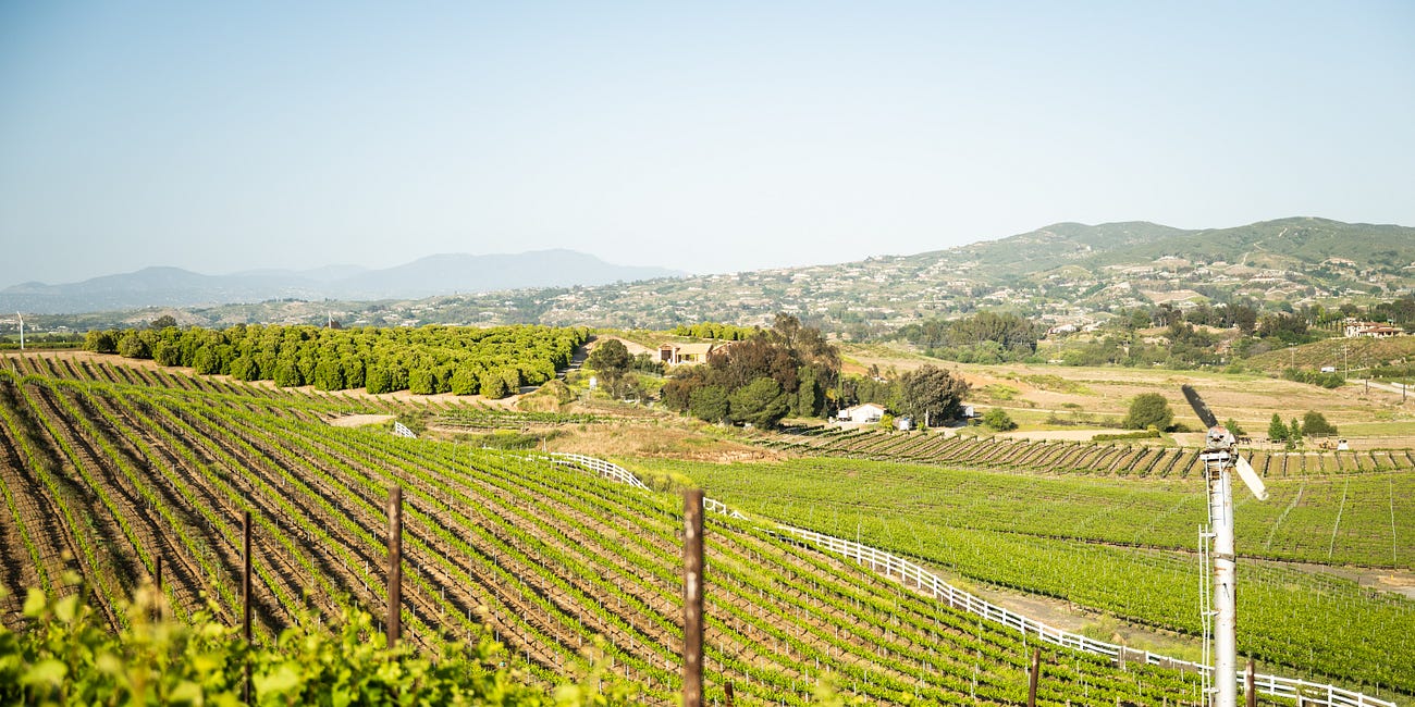Celebrating Temecula Valley with CA Grown