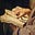 Riality_Machine's avatar
