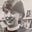 Elizabeth Kaeton's avatar
