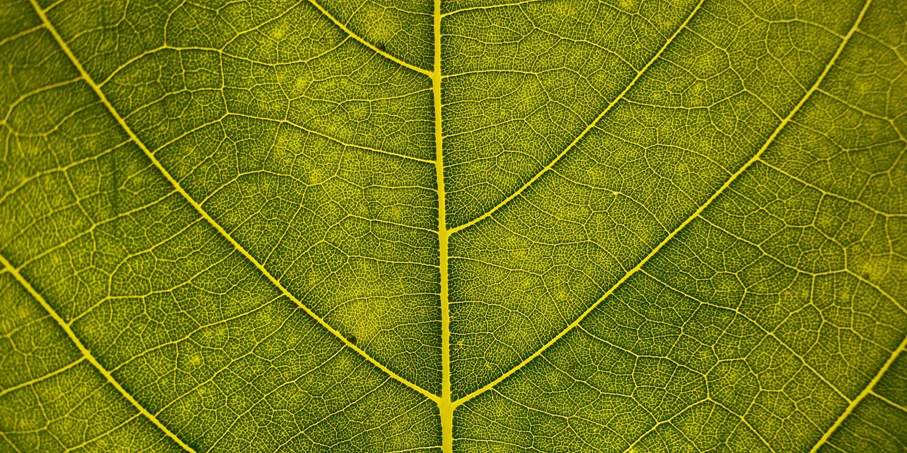 Hidden Channels: Missed Social Media Connections (Part 1)