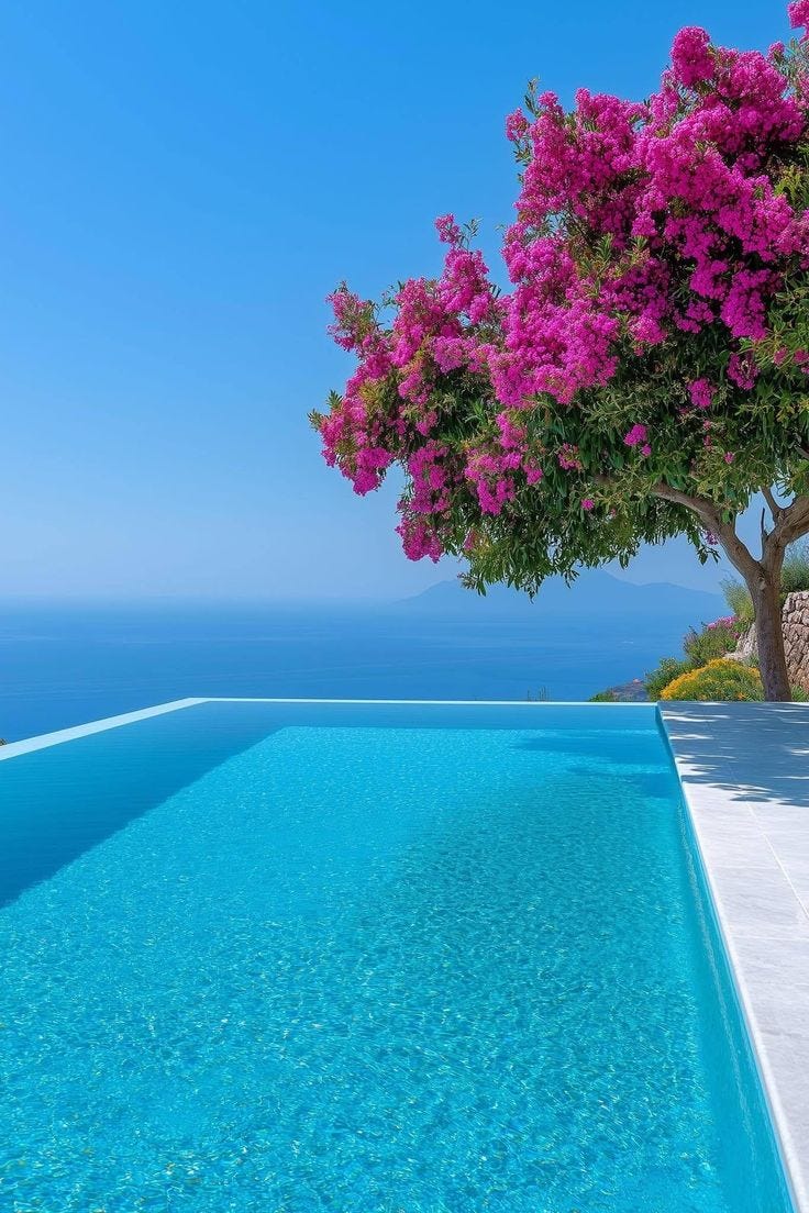 This may contain: an empty swimming pool with purple flowers on the trees and water in the foreground