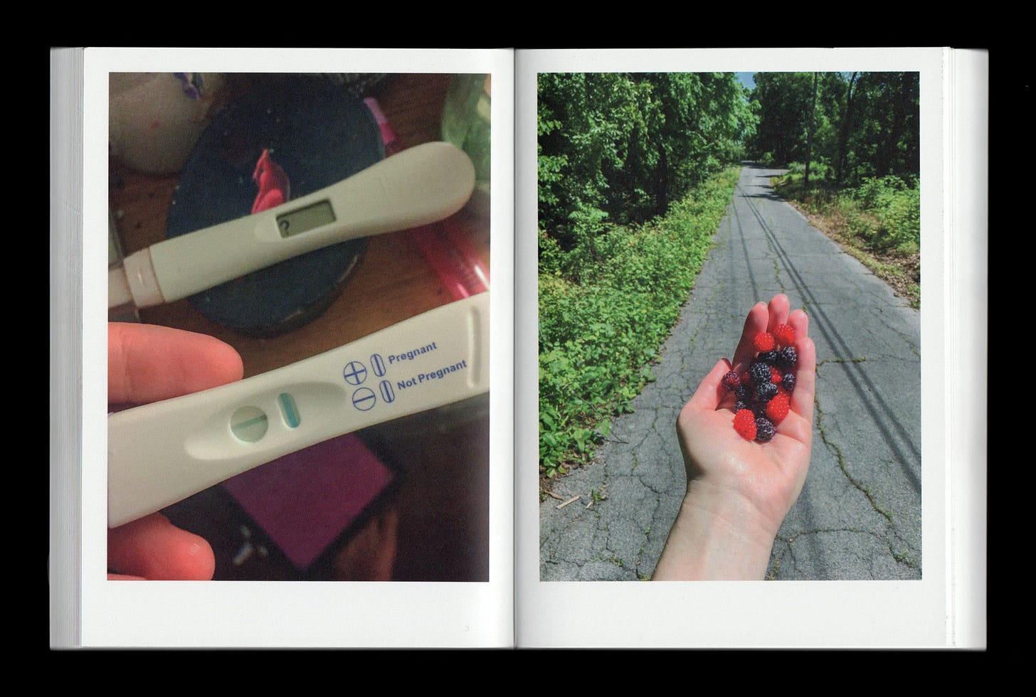A two page book spread presents two intimate photographs framed by wide white margins. On the left page a close up shows two pregnancy test sticks held near each other with one displaying a plus symbol and printed text that reads Pregnant and Not Pregnant while the background includes a cluttered indoor surface with soft focus objects and warm lighting. On the right page an outstretched hand holds a small handful of red and dark berries against a cracked paved road that curves through dense green trees.