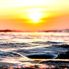 The Social Coordination Mechanism (Part II)