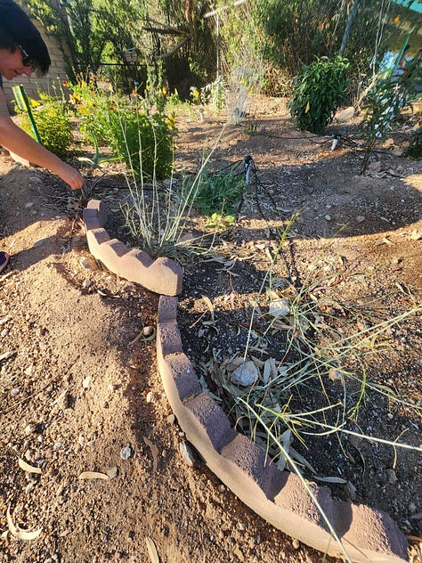 A collaborative community project envisioned and organized by Robin Motzer. Team members include Gillian Paine Murietta, Community Gardens of Tucson, Keith Lierman, Tucson Organic Gardeners, and volunteers, businesses and the City of Tucson Parks and Rec.