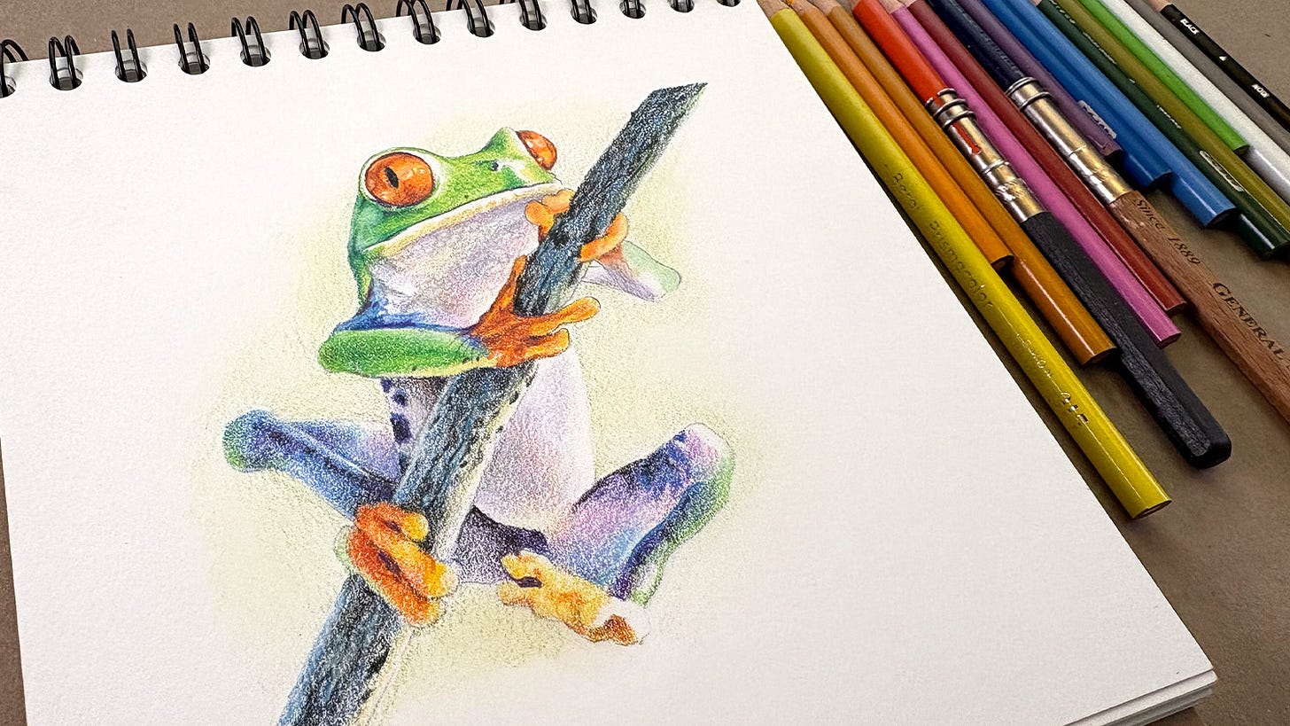 Tree Frog Drawigs Draw-along tree frog (free class) - by Sandy Allnock