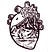 Vane's avatar