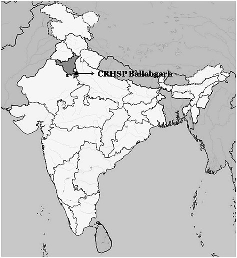 Ballabhgarh, India