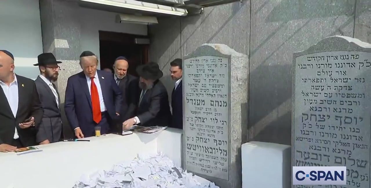 The 1 Year Anniversary of the Palestinian Holocaust