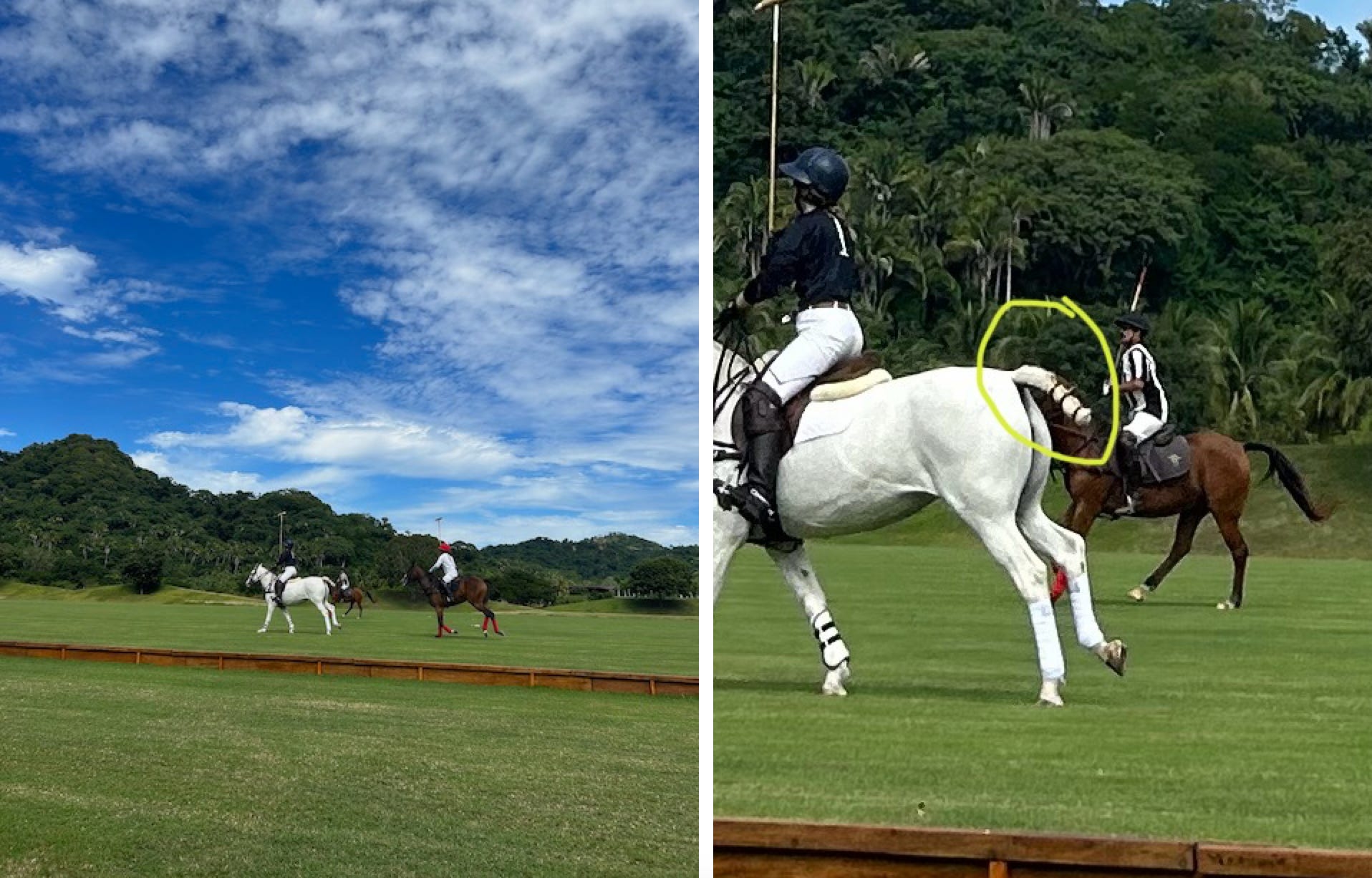 Four trivial mysteries - The Life and Errors of Molly Young