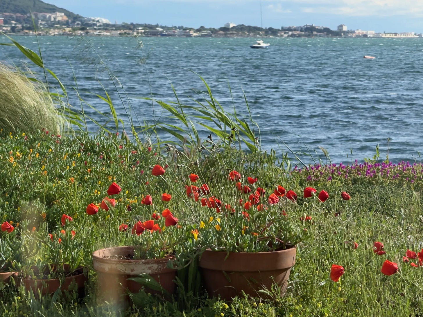 Jardin Jardin