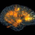 How to measure EMF in our body