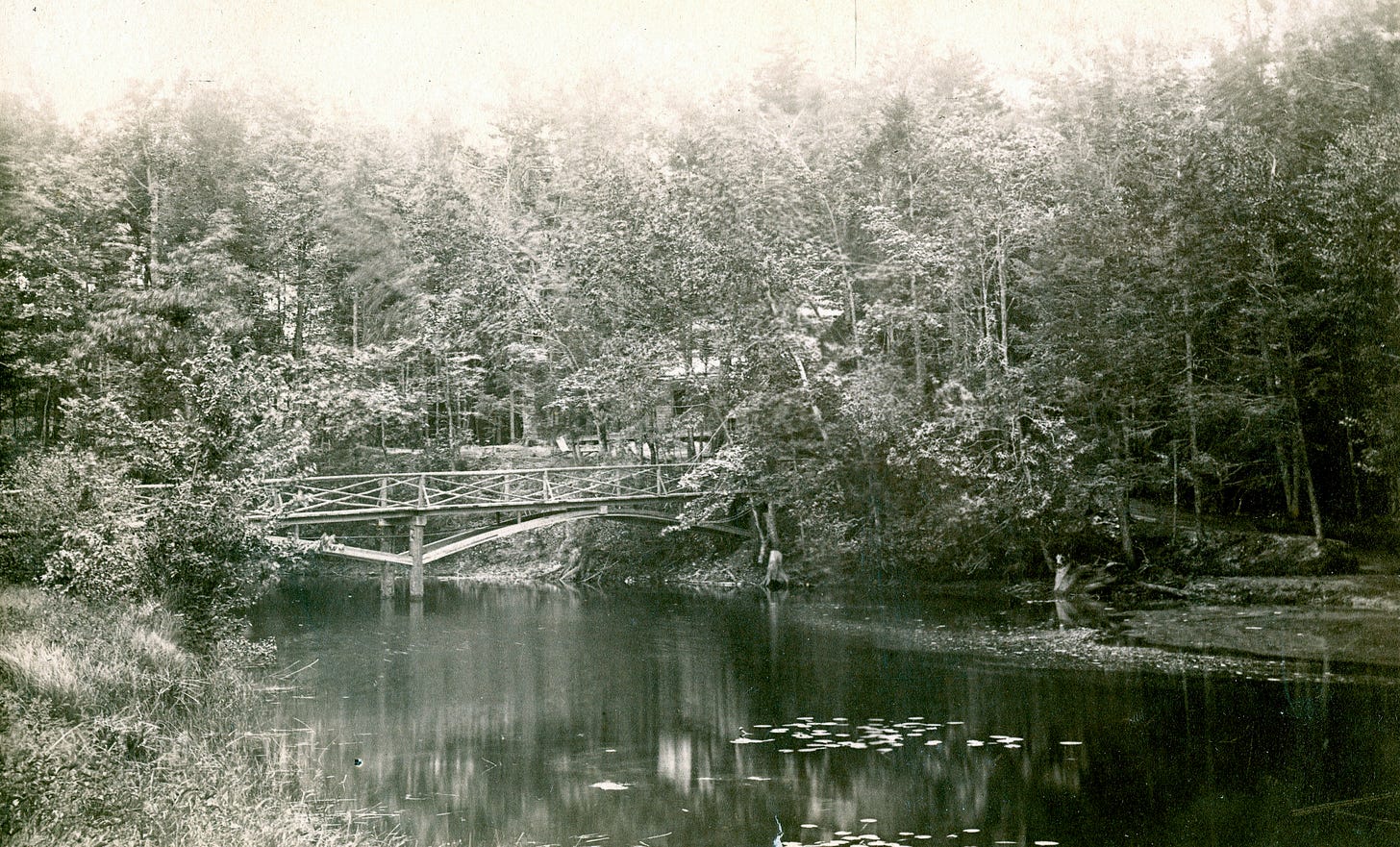 Bridge in Bank Village