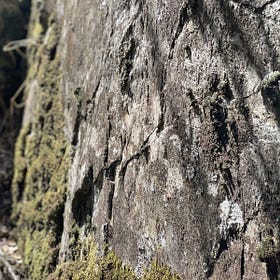 Radical principles of animist and shamanic practice in southwestern European territory