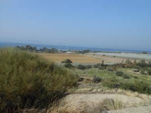 734215_10152379208205043_756632953_n