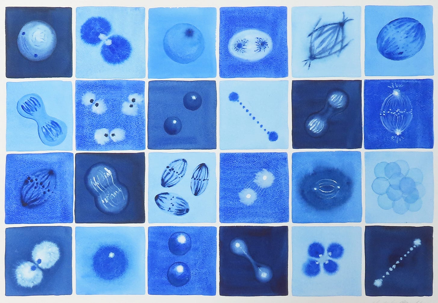 絵画 cell division Mitosis, Mon Amour - by Michele Banks - Artologica