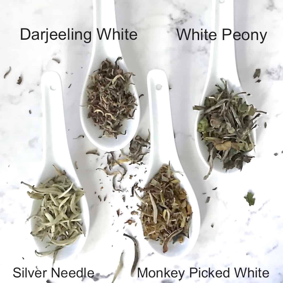 white tea varies