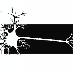 The Interactive Thinker