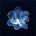 ~آلآء's avatar