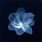 ~آلآء's avatar