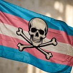 William’s Newsletter