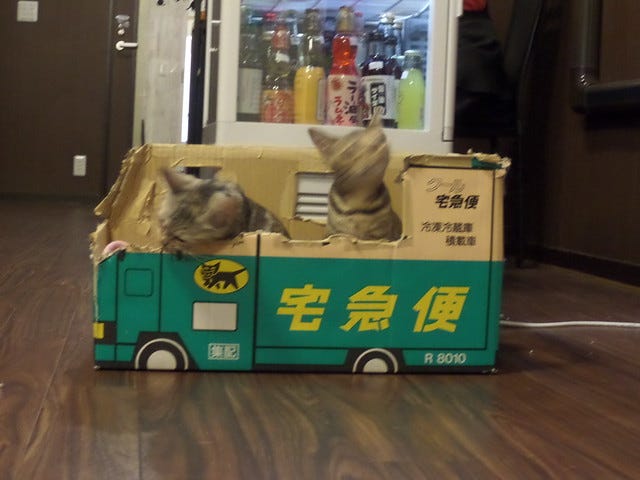 Cat Cafe Nanny Cat Cafe Nanny