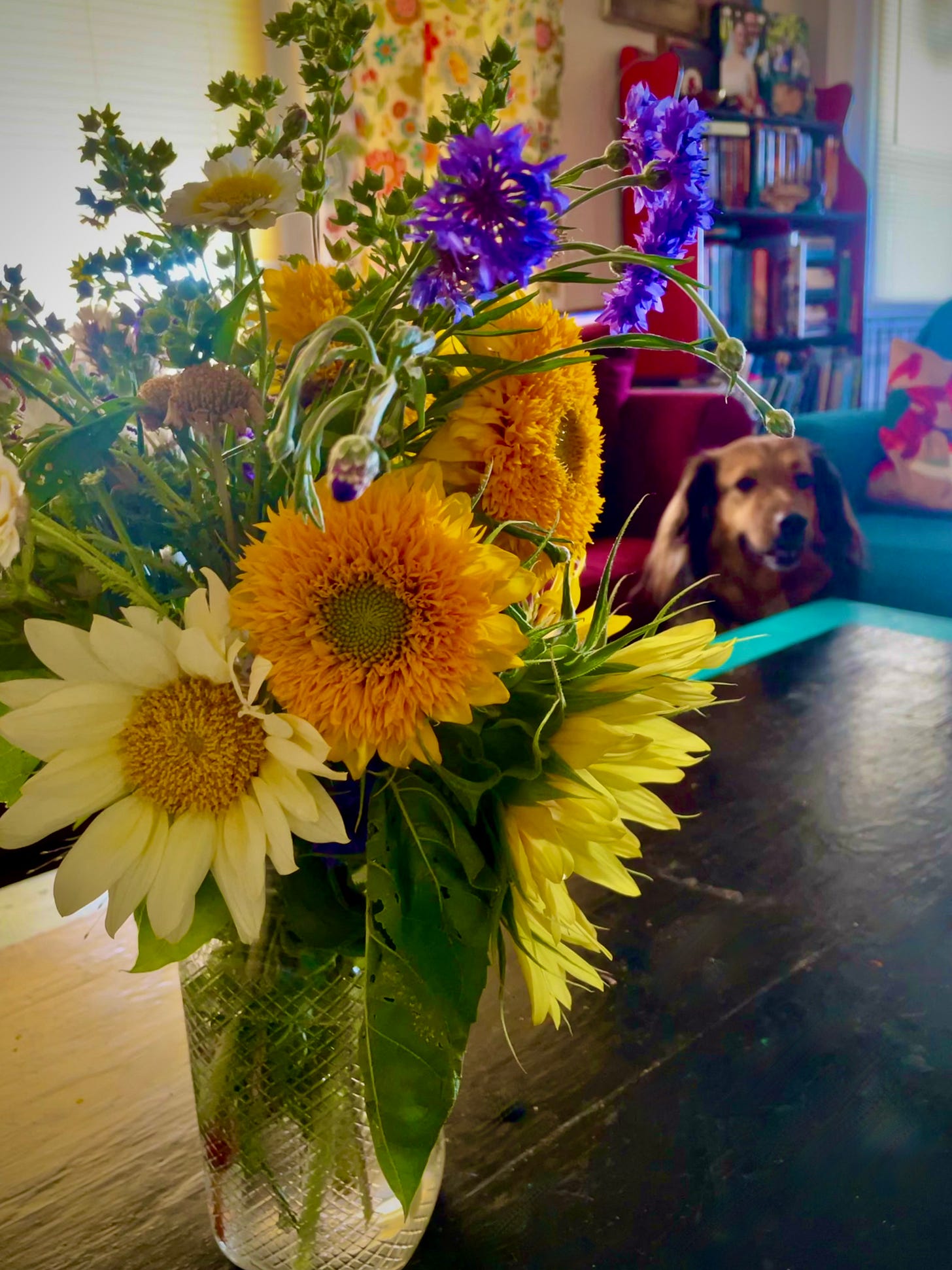 English shepherd behind a bouquet