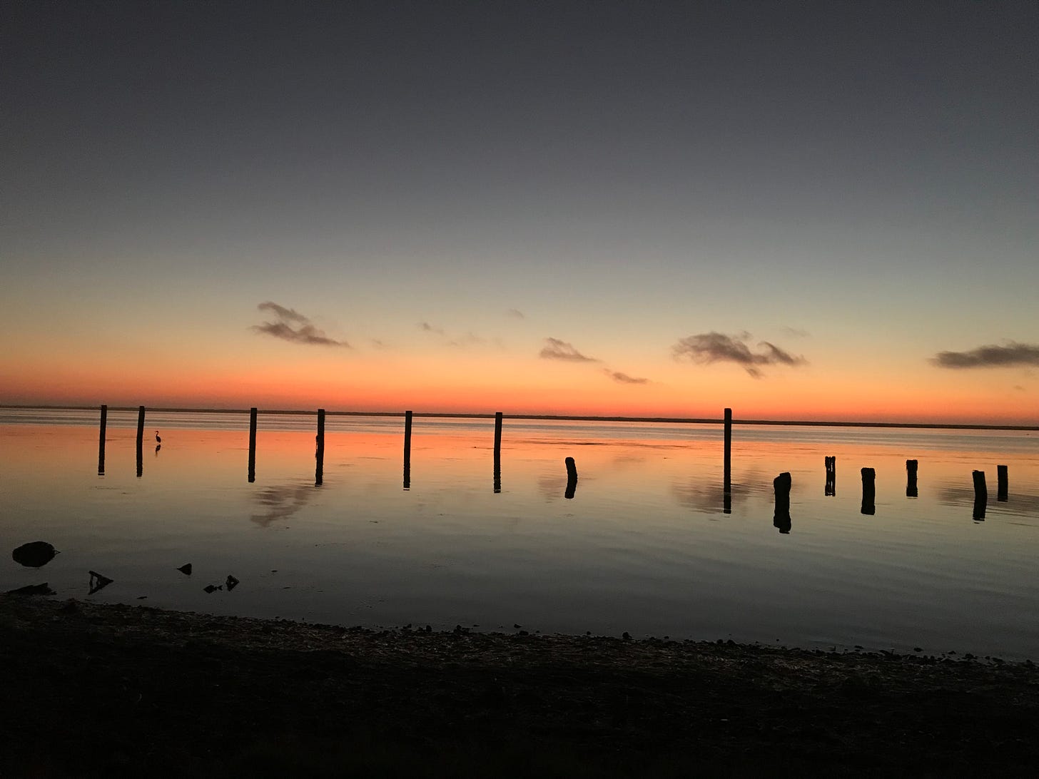 A series of pilings in a bay at sunset, the figure of an egret near the far left pilings.