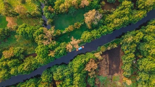 Xochimilco is home to some of the last remaining chinampas. (GoCarlos / Adobe Stock) Xochimilco is home to some of the last remaining chinampas. (GoCarlos / Adobe Stock)