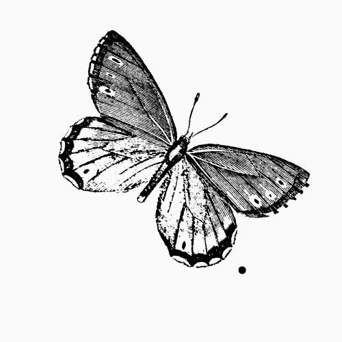 Healing from Narcissistic Abuse