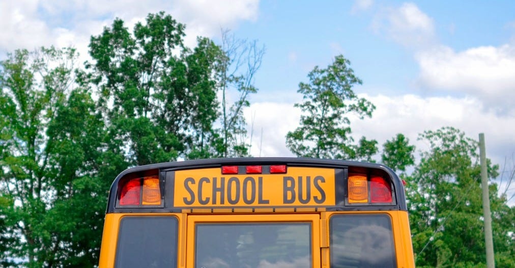school bus near green trees under cloudy sky during daytime