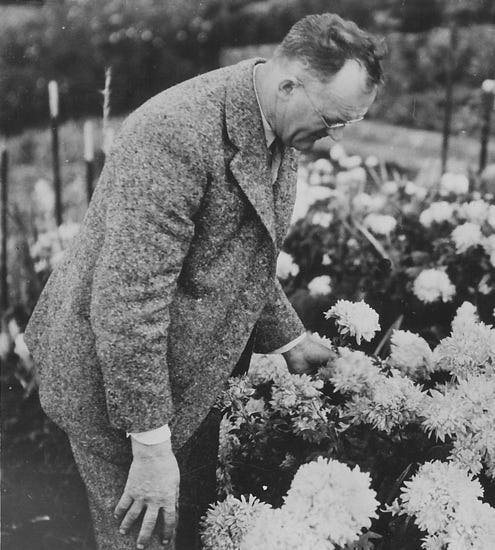 Hydroponics History Part 2 | The Birth of Hydroponics