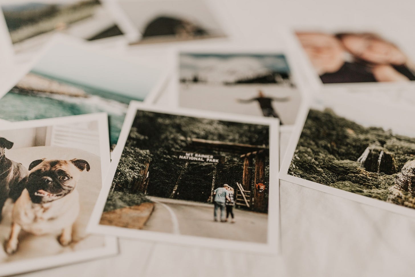 A Family Photographer That Grows With Your Family | Lindsey DeCicco  Photography, South Bend, Indiana — Lindsey DeCicco Photography