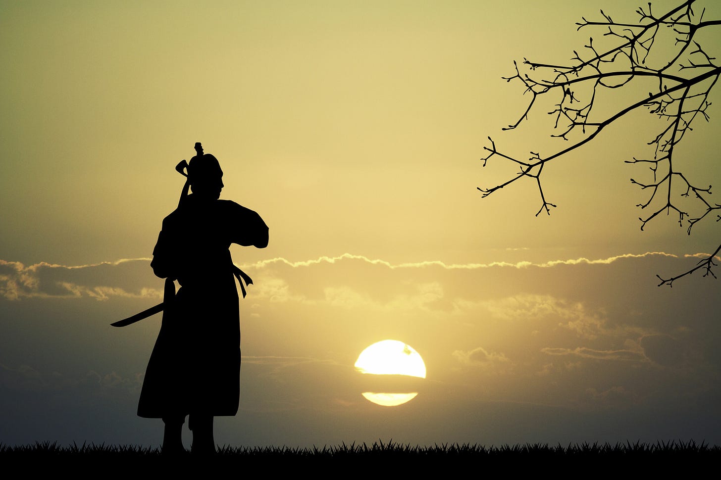 silhueta de um samurai em preto, com a espada na bainha olhando um por do sol maravilhoso, com algumas nuvens refletindo a luz do sol, uma delas transpassando o circulo solar. o samurai está mais do lado esquerdo com a espada na bainha, e tem um galho de arvore do lado direito