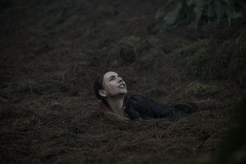 Survival Thriller QUICKSAND Hits Shudder This Summer - FANGORIA