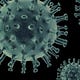 Univirus