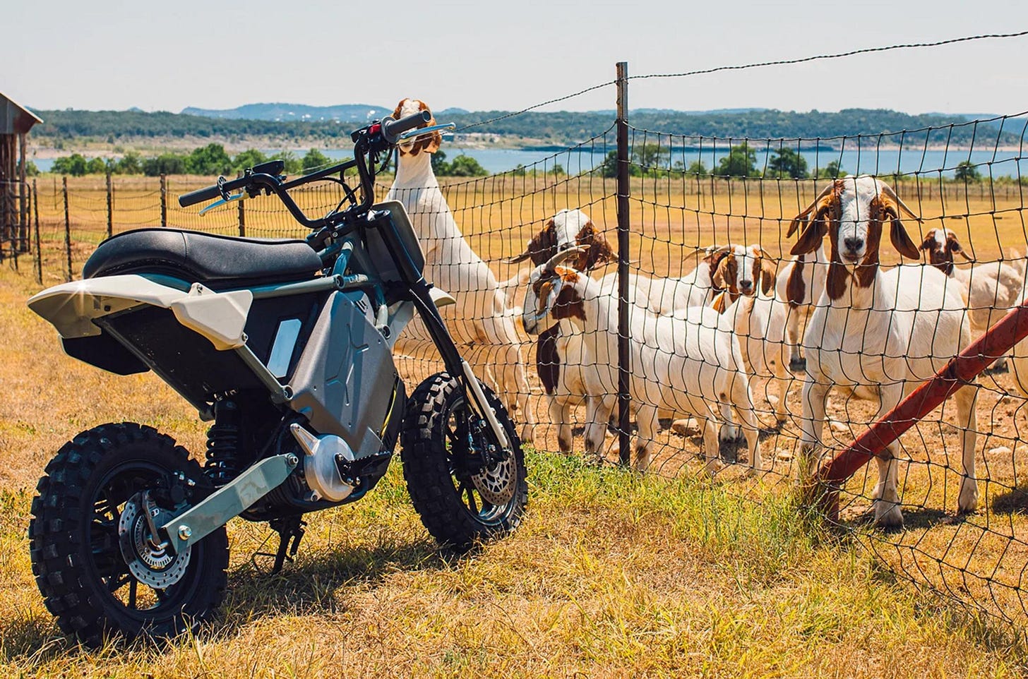 S4 Honcho electric motos | LiveWire United States